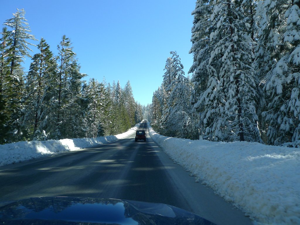 Yosemite_Valley (16).JPG